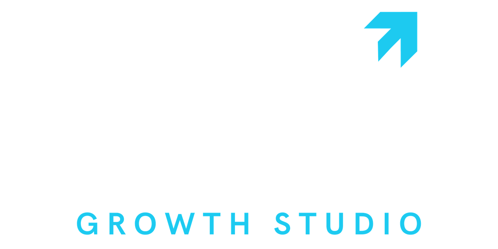 Dyvi Growth Studio